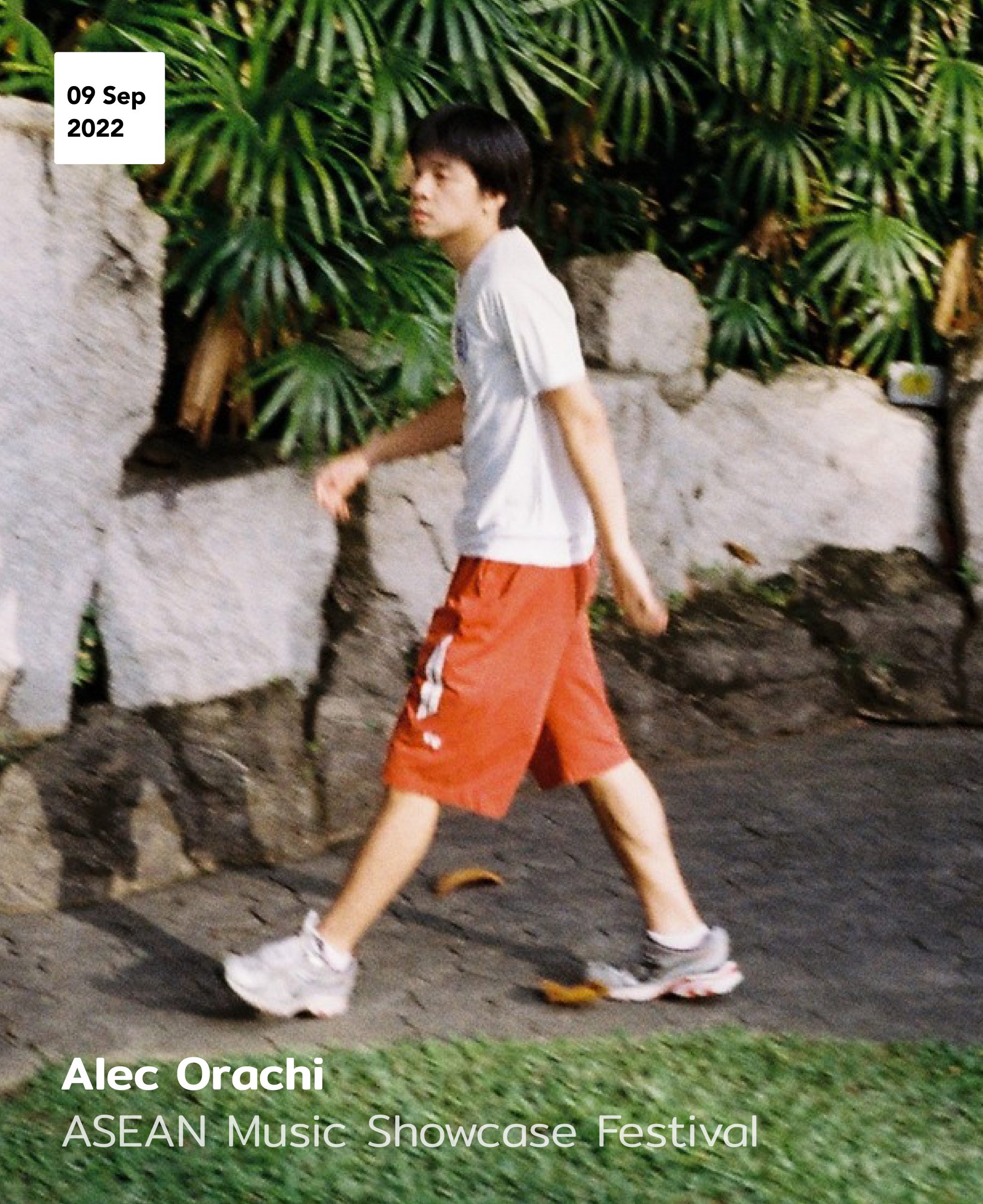 alec-orachi